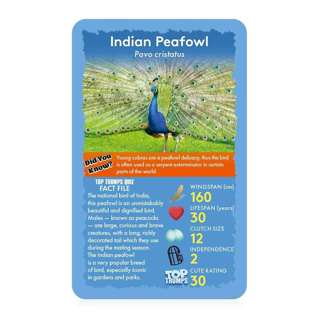 Birds Top Trumps Card Game - Image 4