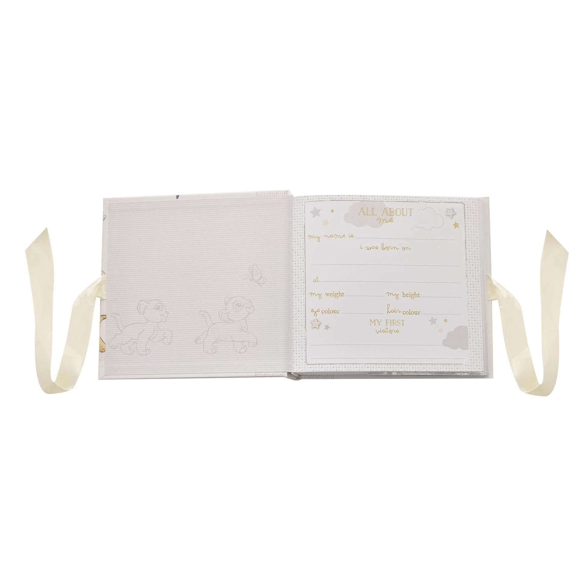 Disney Baby Magical Beginnings Photo Album 4" x 6" - Pooh - Image 4